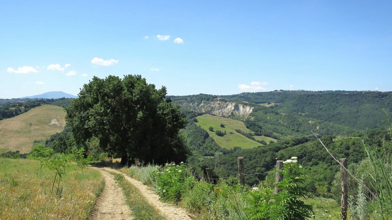 Photo of Others in Castiglione in Teverina
