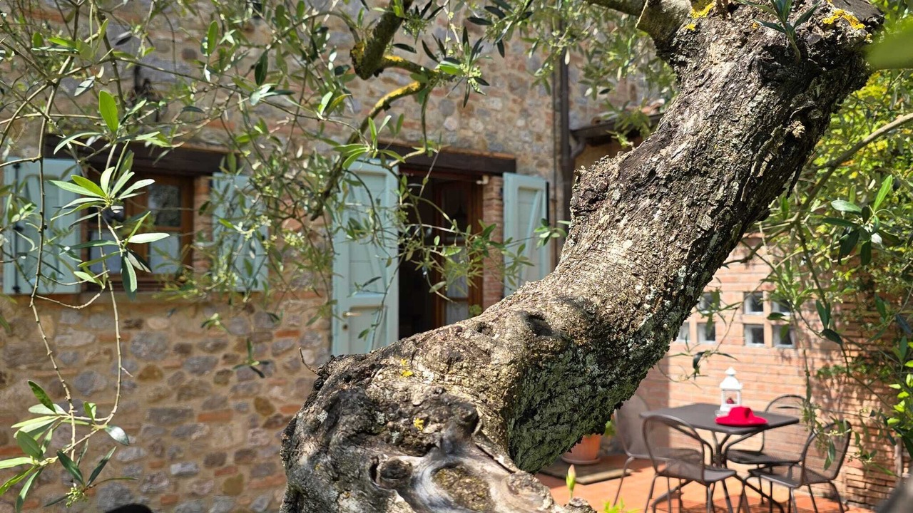 Photo of Outdoor in Monteleone d'Orvieto
