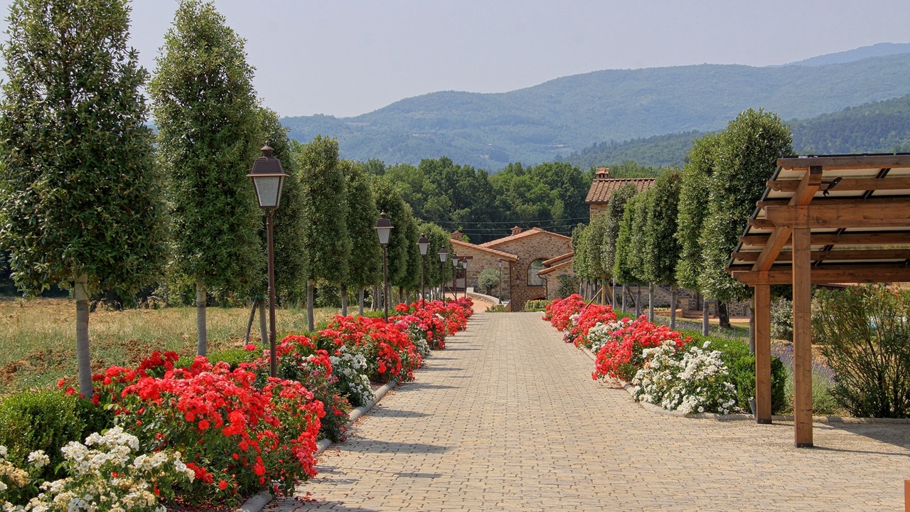 Photo of Outdoor in Porrena