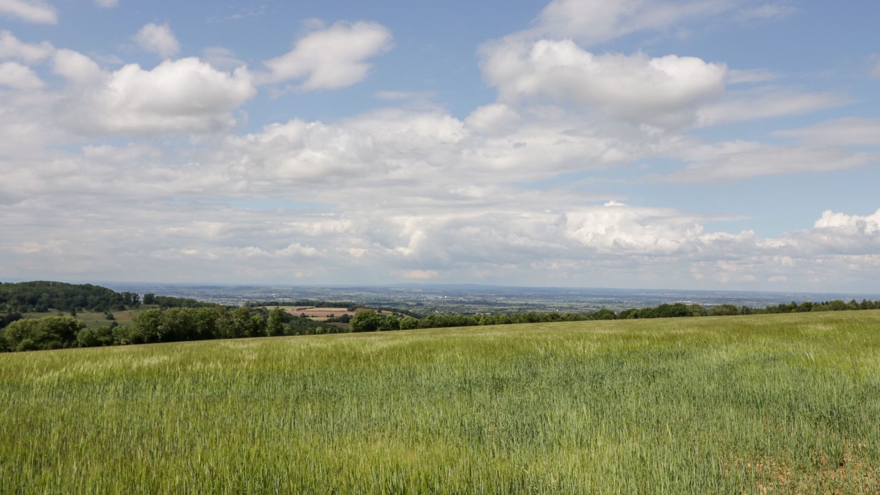 Photo of Others in Blockley