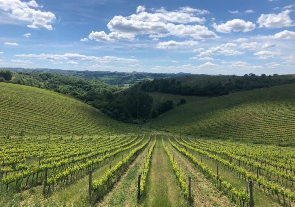 Photo of Outdoor in San Casciano in Val di Pesa