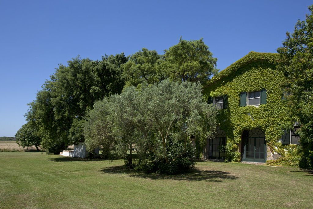 Photo of Outdoor in Capalbio