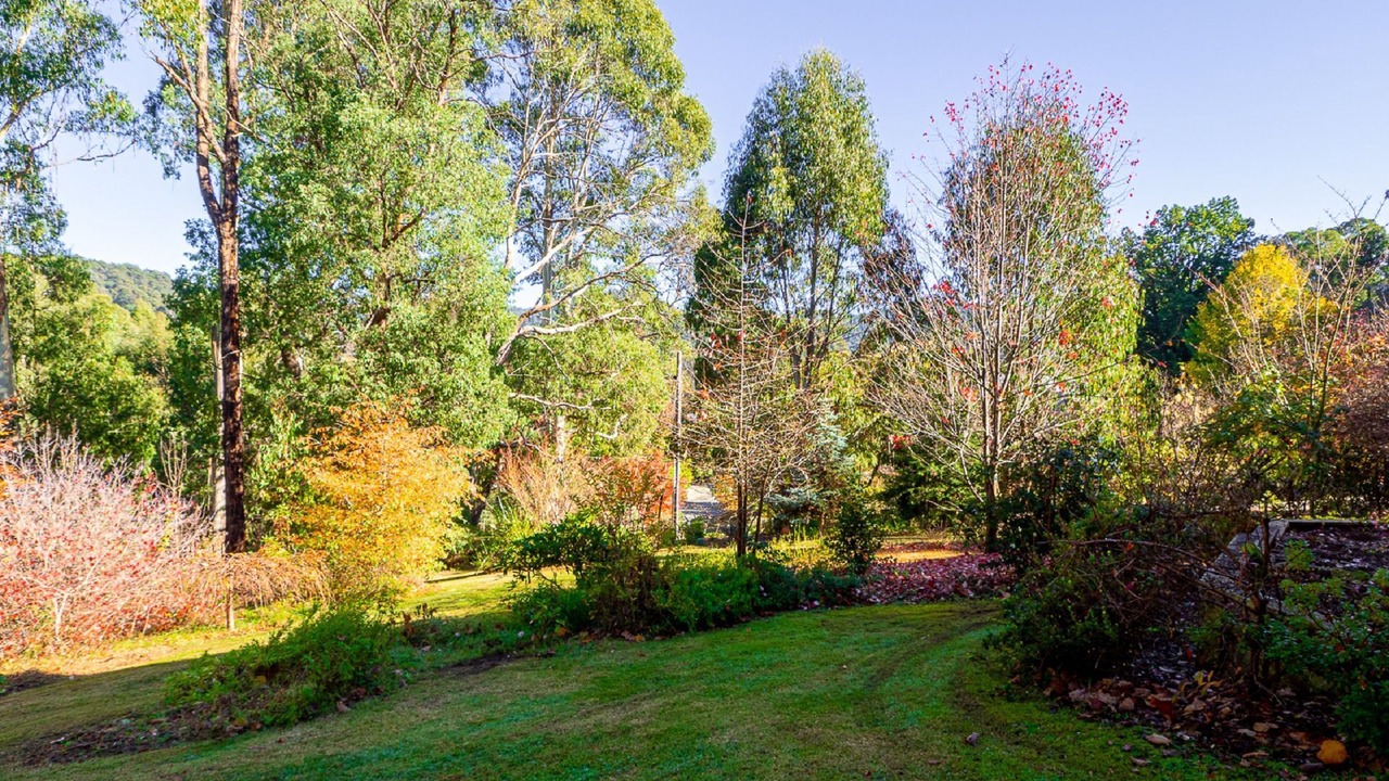 Photo of Outdoor in Marysville