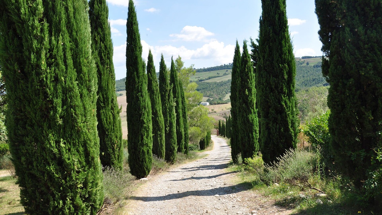 Photo of Outdoor in Centeno