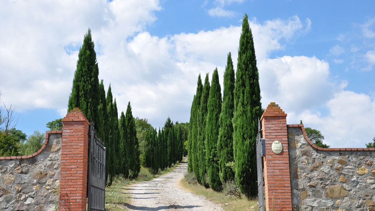 Photo of Outdoor in Centeno