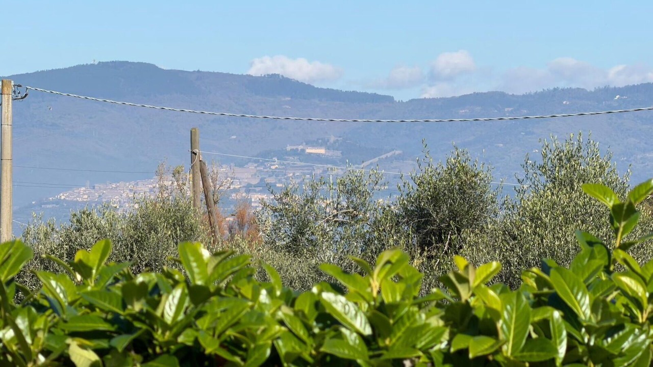 Photo of Others in Ferretto