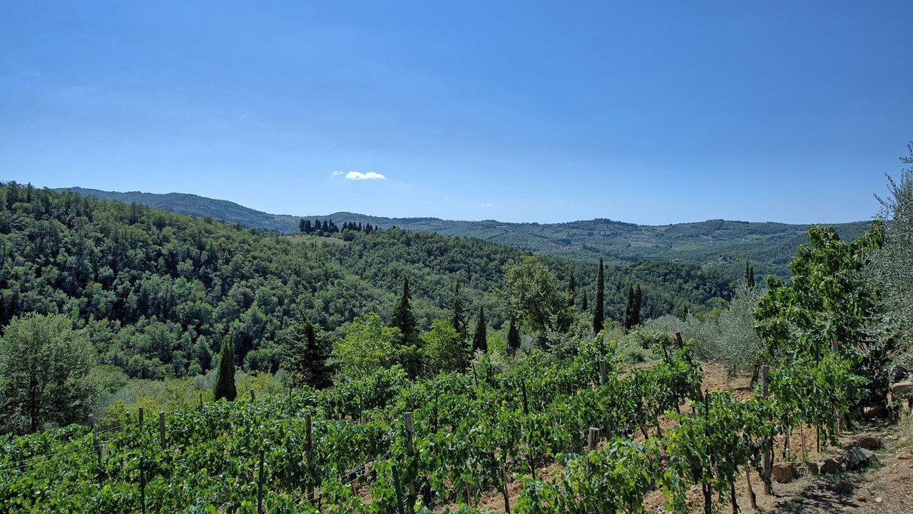 Photo of Others in Greve in Chianti