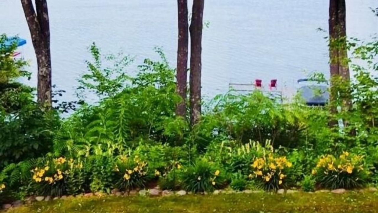 Photo of Others in Stone Lake