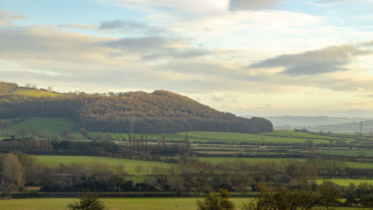 Photo of Others in Pershore
