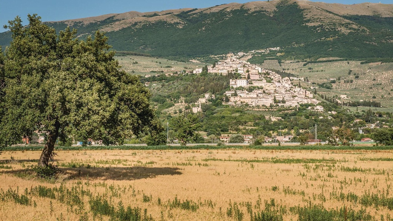 Photo of Others in Bevagna