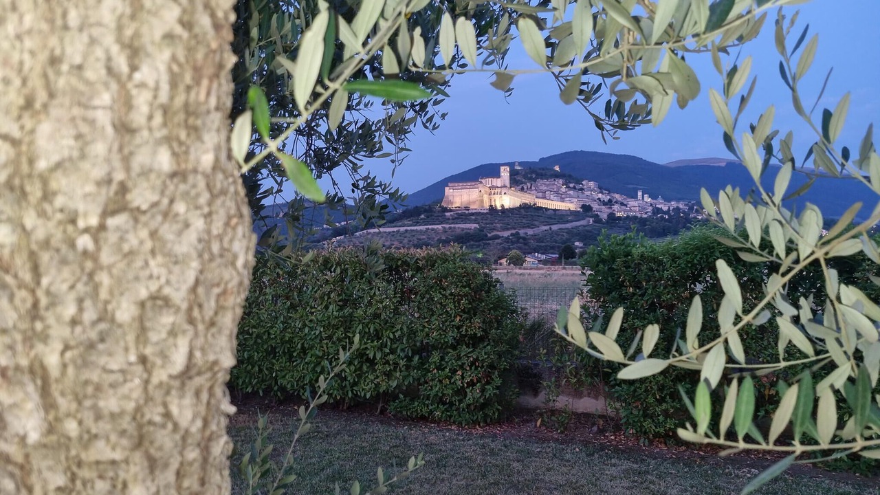Photo of Bedroom in Assisi
