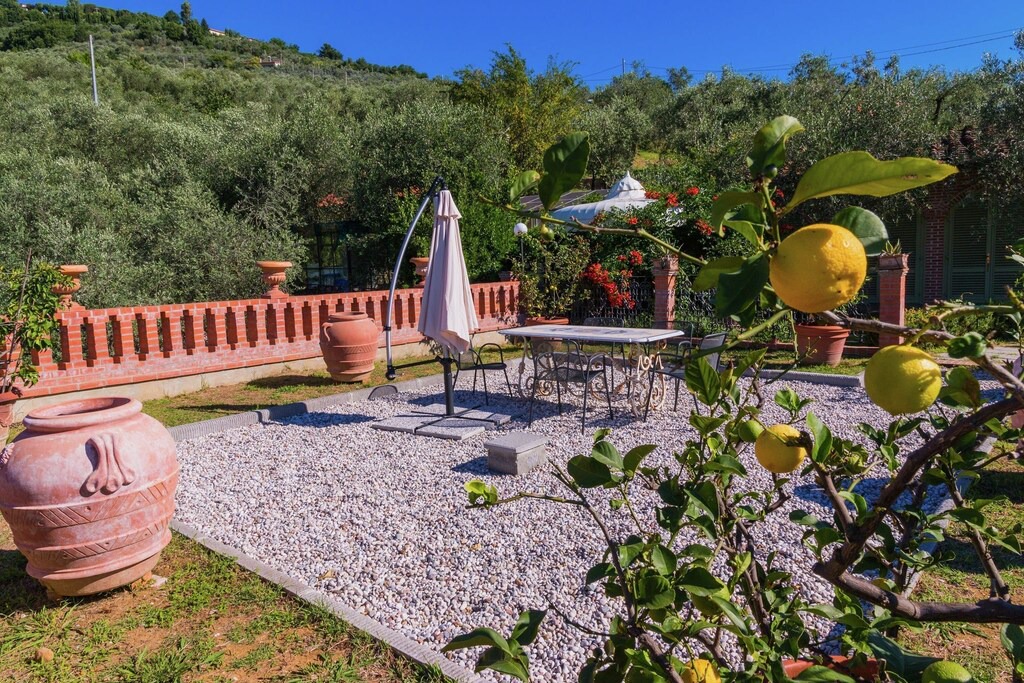 Photo of Others in Pieve a Nievole