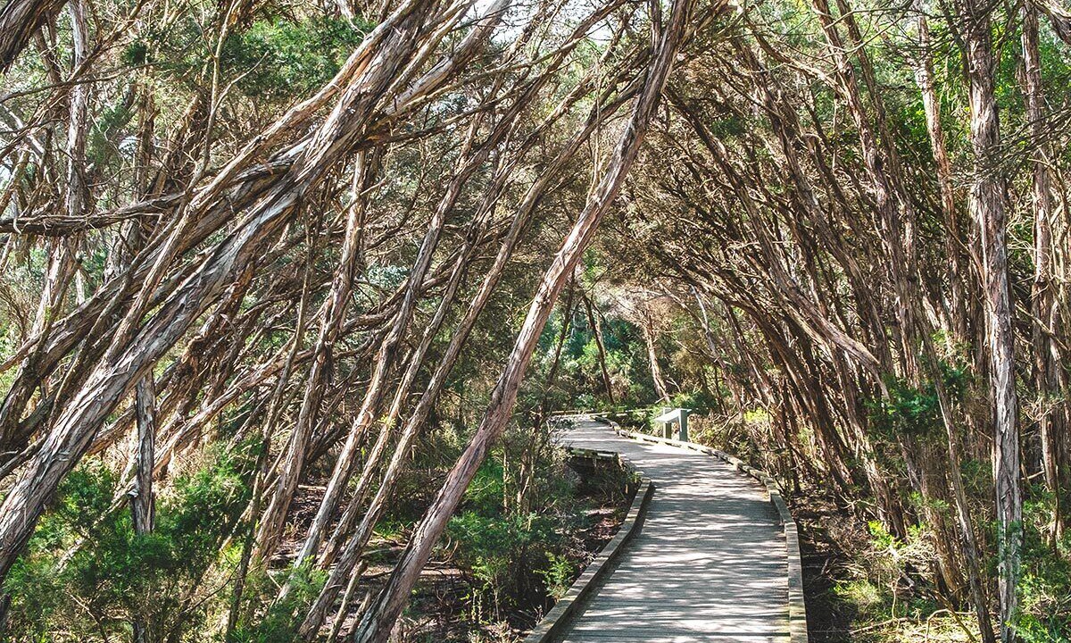 Photo of Others in Mount Martha