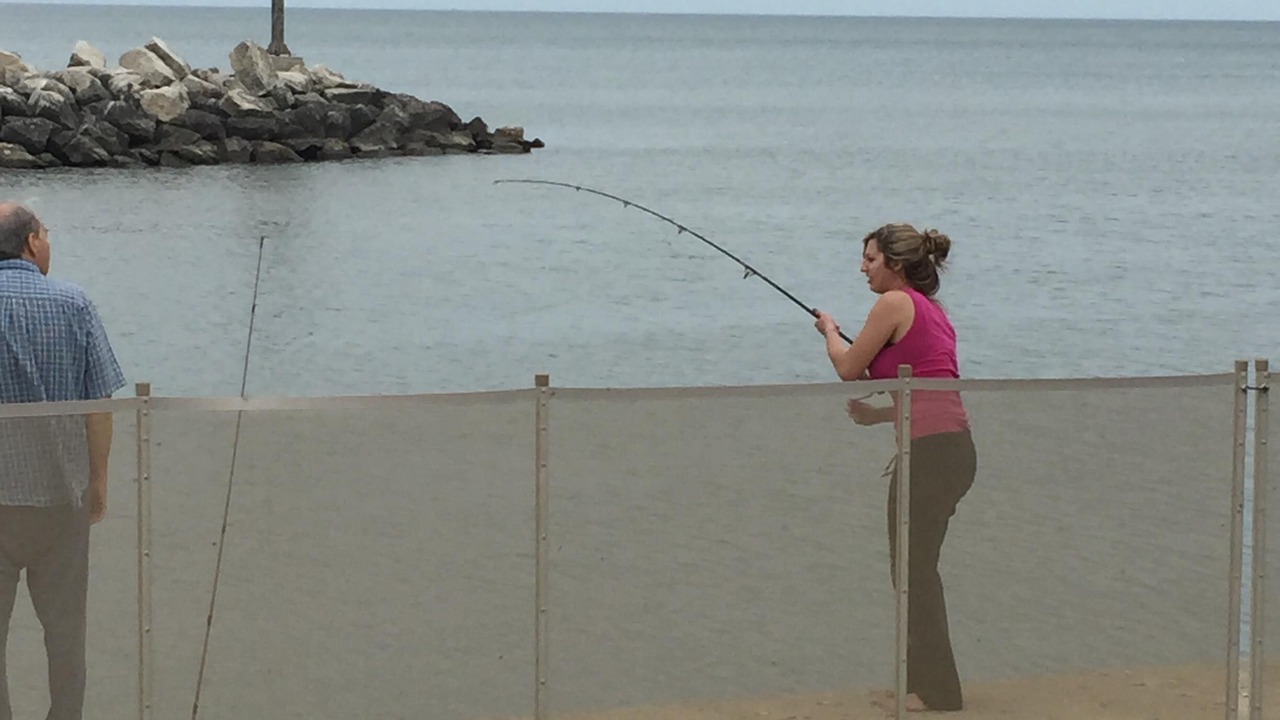 Photo of Others in Oak Harbor