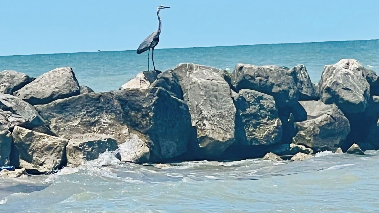 Photo of Others in Oak Harbor