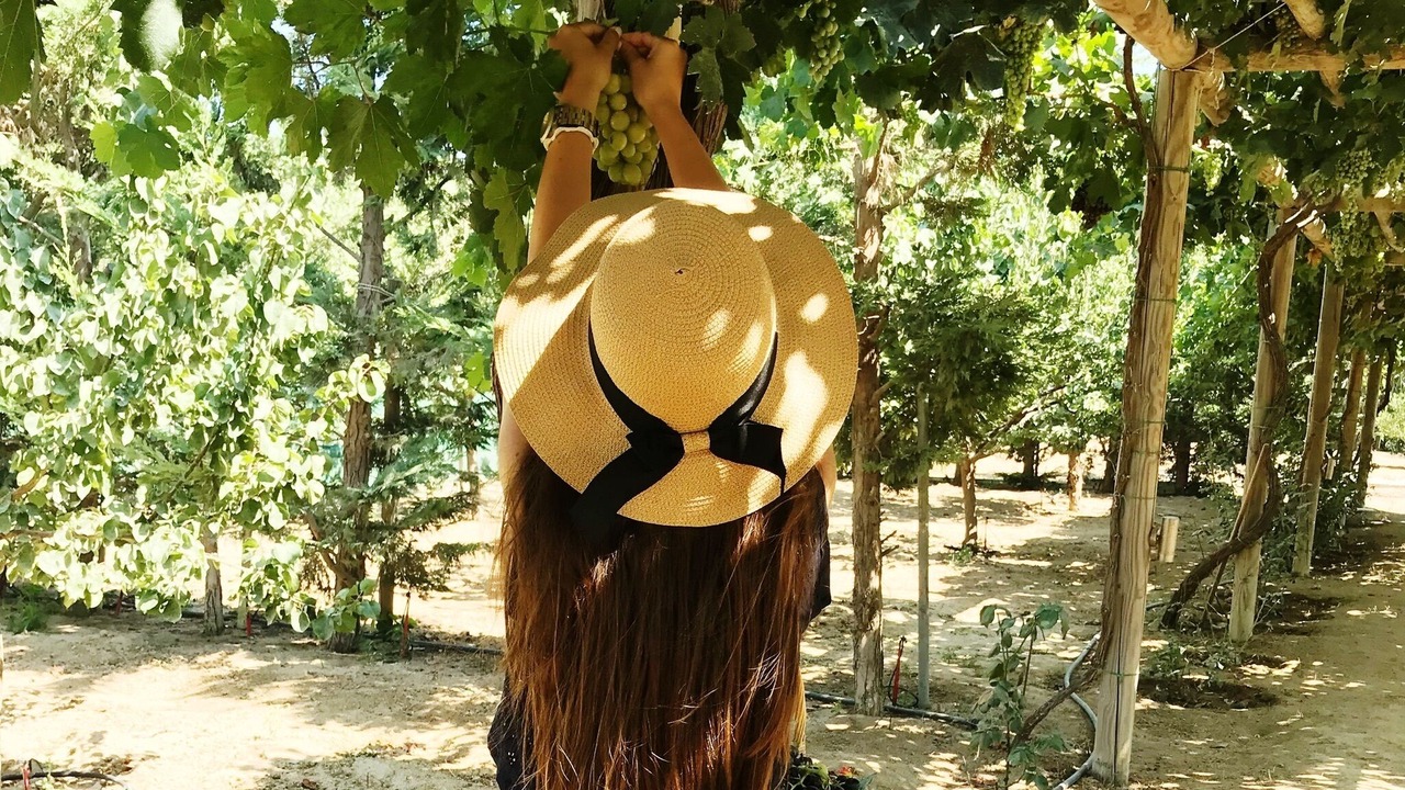 Photo of Outdoor in Maragas