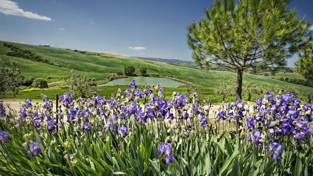 Photo of Others in San Quirico d'Orcia
