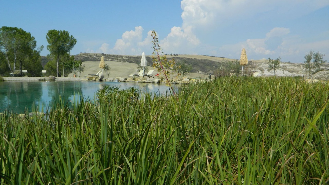 Photo of Others in San Quirico d'Orcia