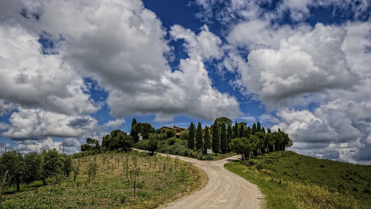 Photo of Others in San Quirico d'Orcia