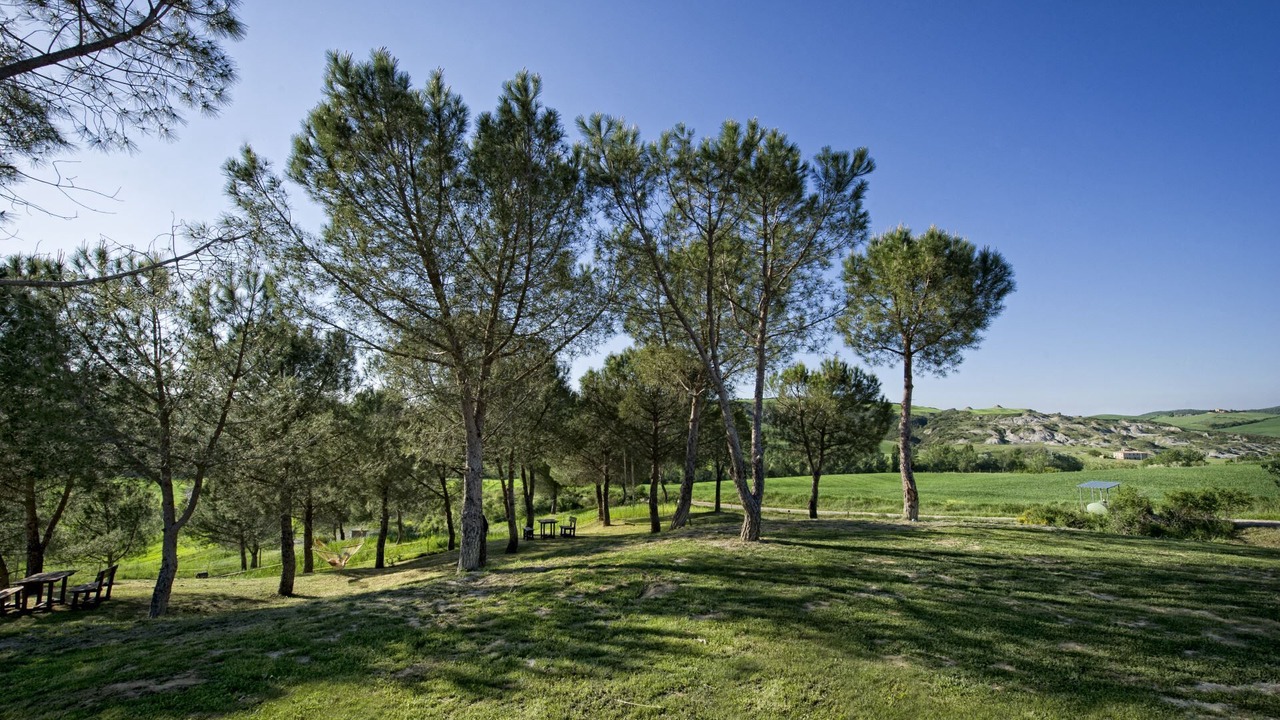 Photo of Outdoor in San Quirico d'Orcia