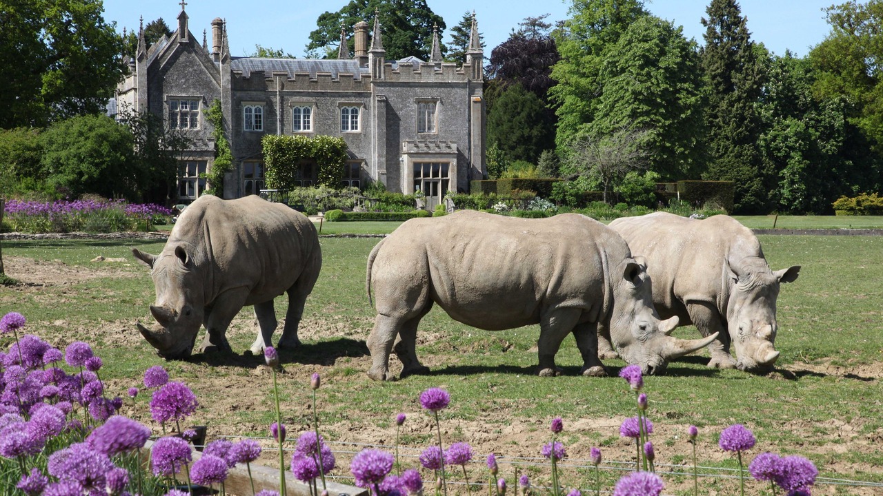 Photo of Others in Bourton