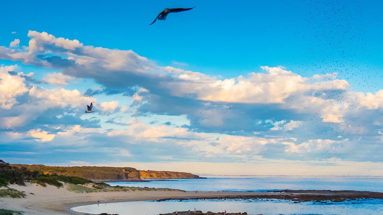Photo of Others in Cape Paterson