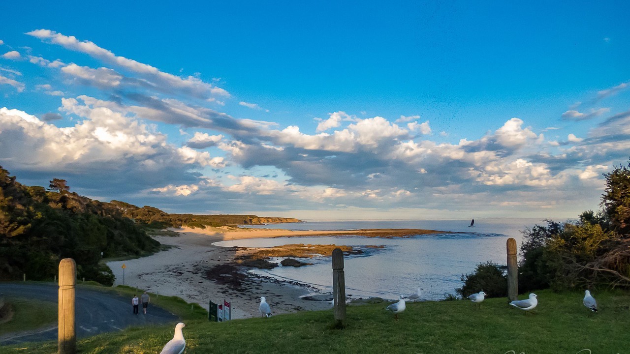 Photo of Others in Cape Paterson