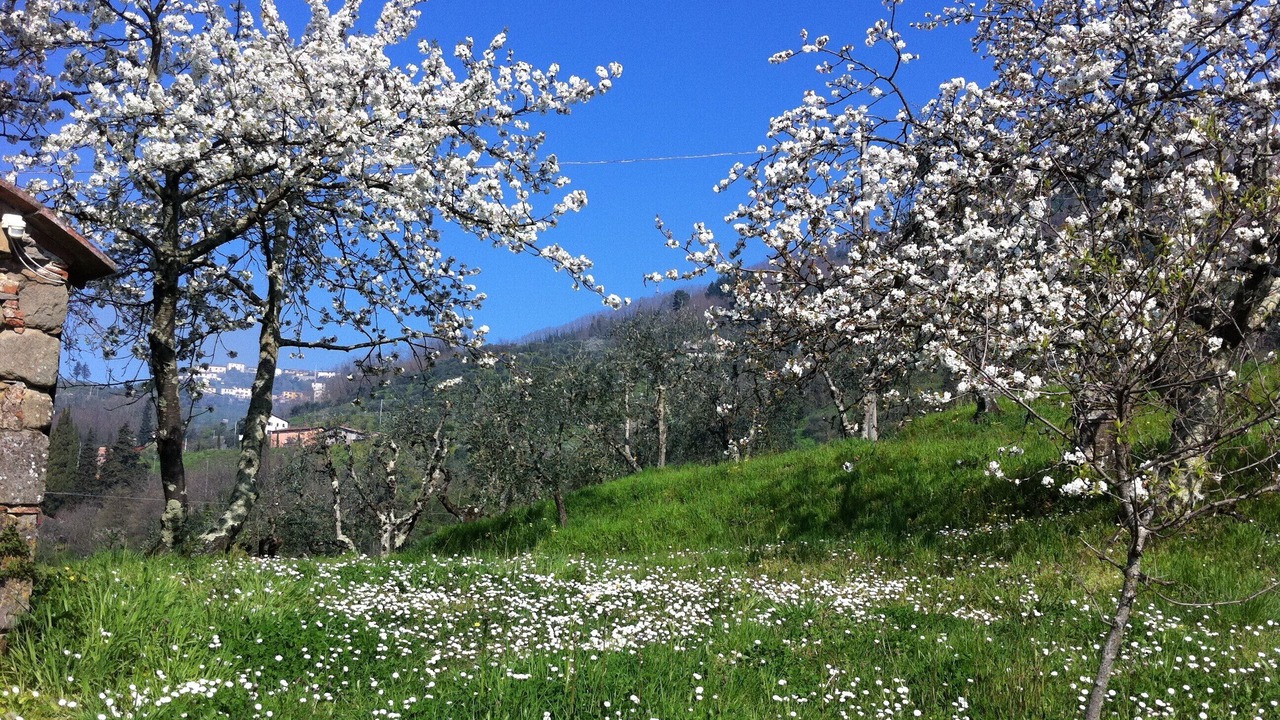 Photo of Outdoor in Nozanno