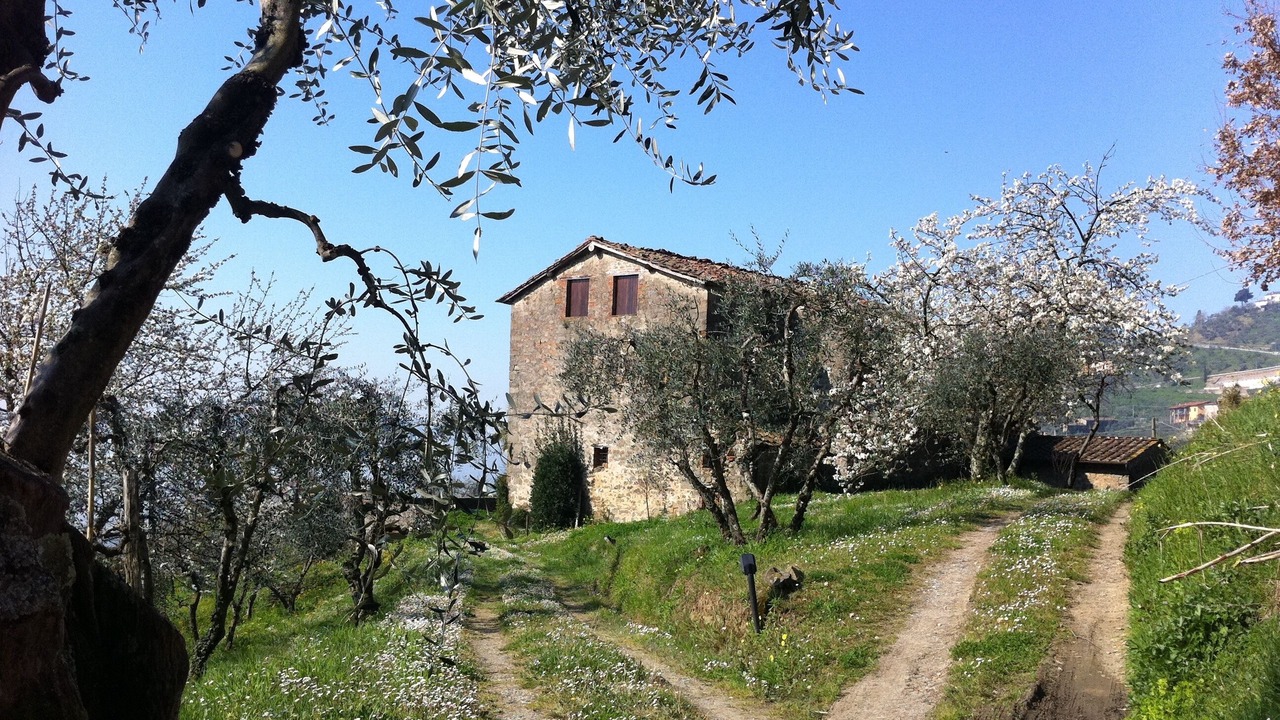 Photo of Outdoor in Nozanno