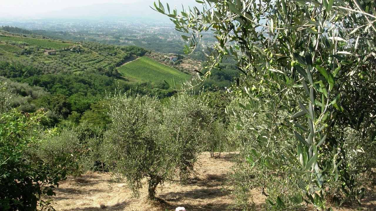 Photo of Outdoor in Nozanno