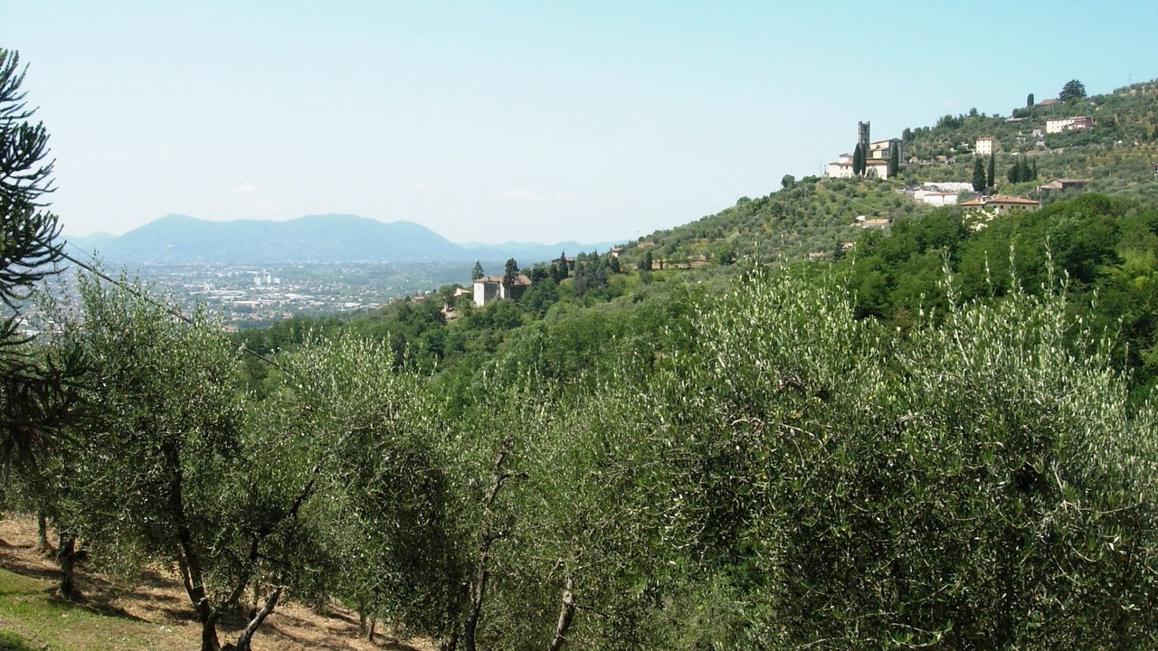 Photo of Outdoor in Nozanno