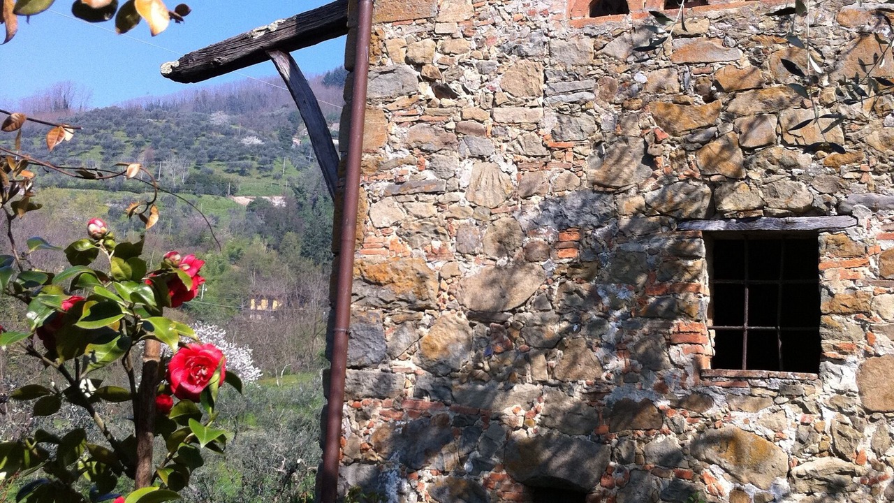 Photo of Outdoor in Nozanno