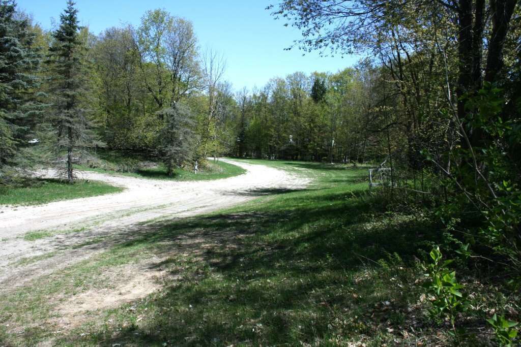Photo of Outdoor in Boyne Falls