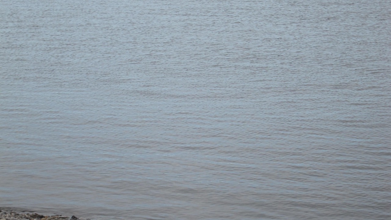 Photo of Others in Petoskey