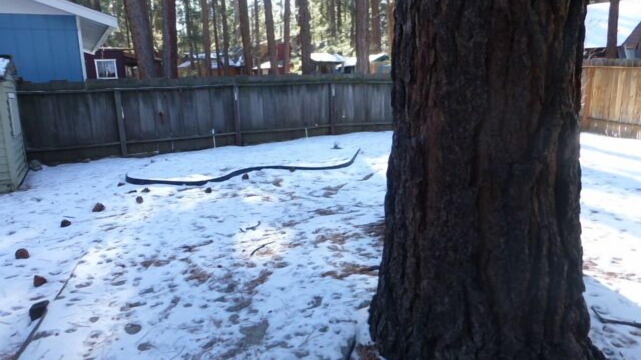 Photo of Outdoor in Bijou Pines