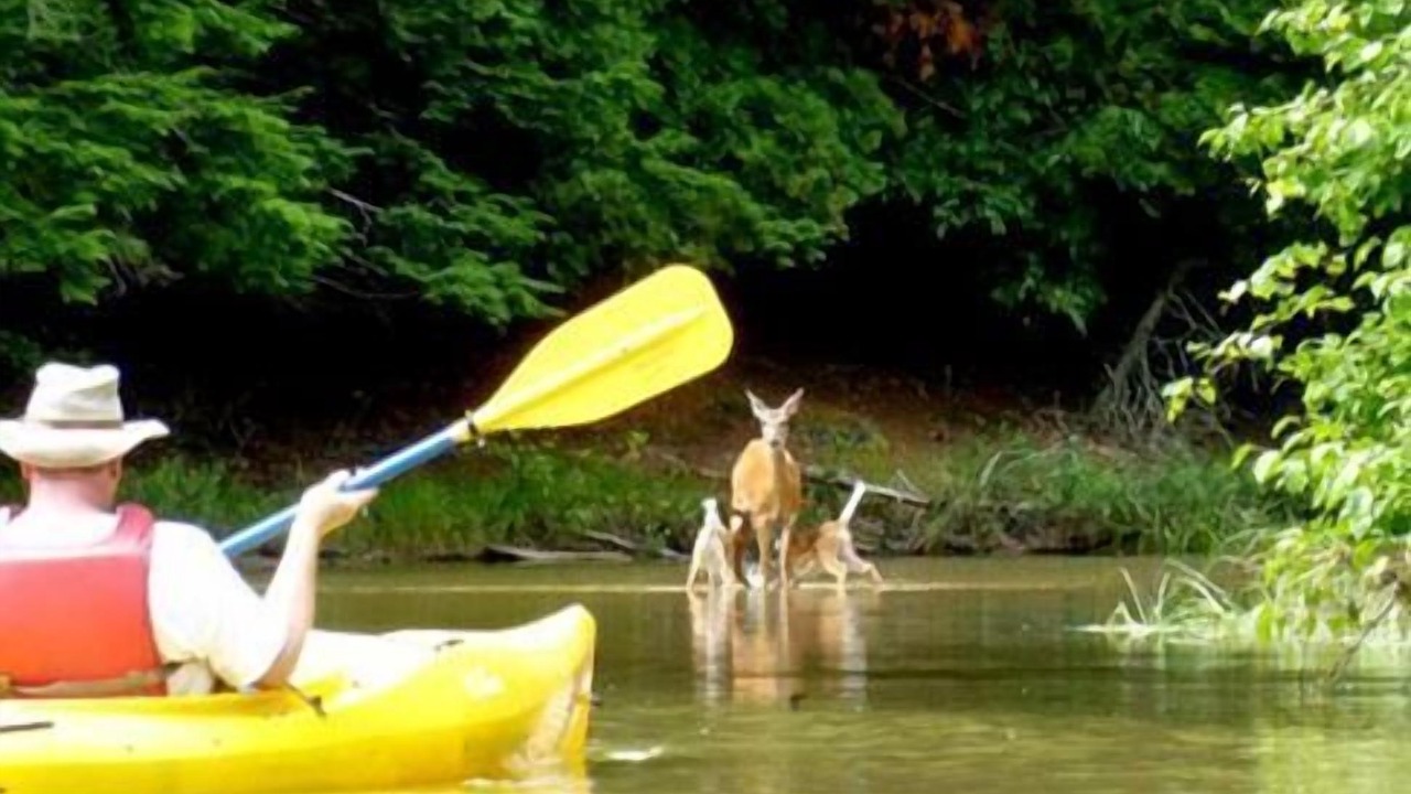 Photo of Others in Glen Arbor