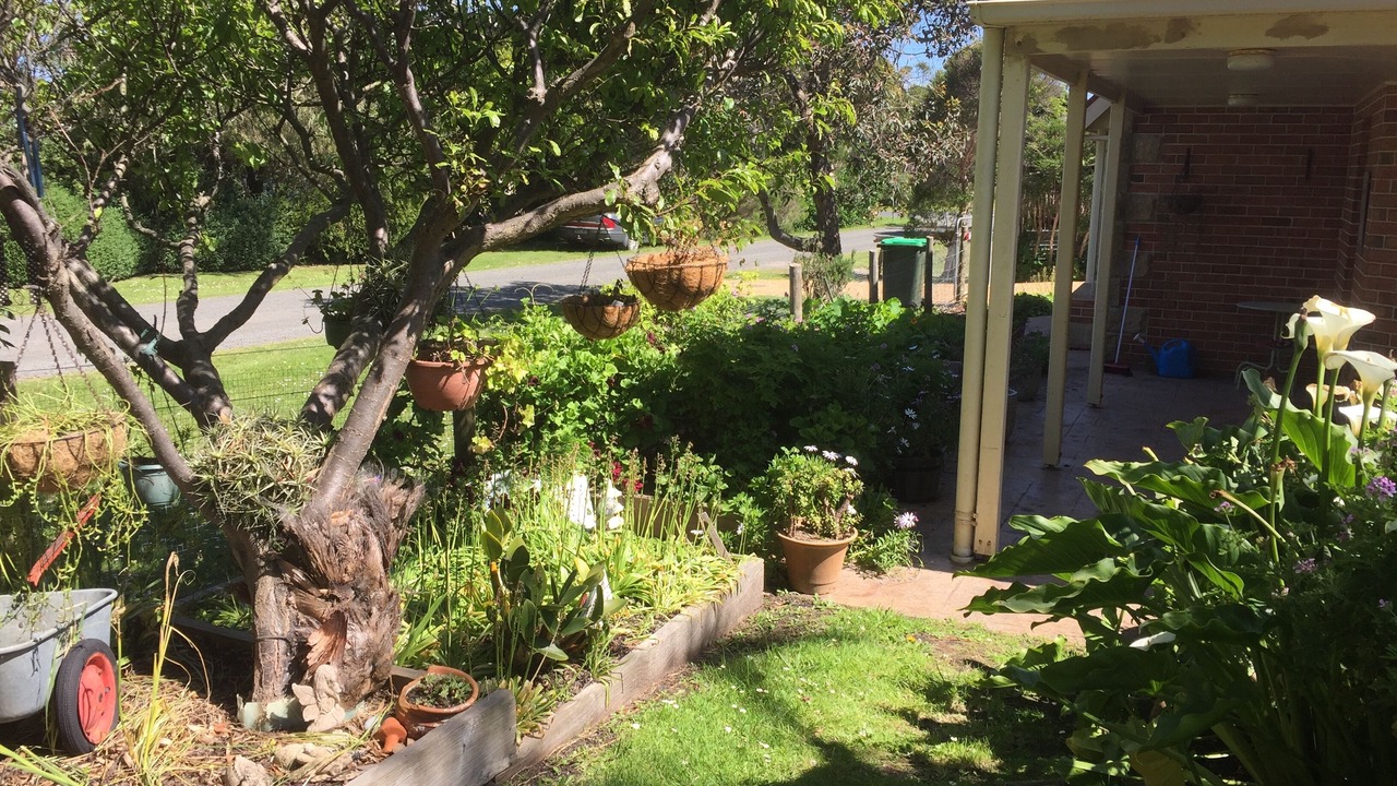 Photo of Outdoor in Cape Paterson