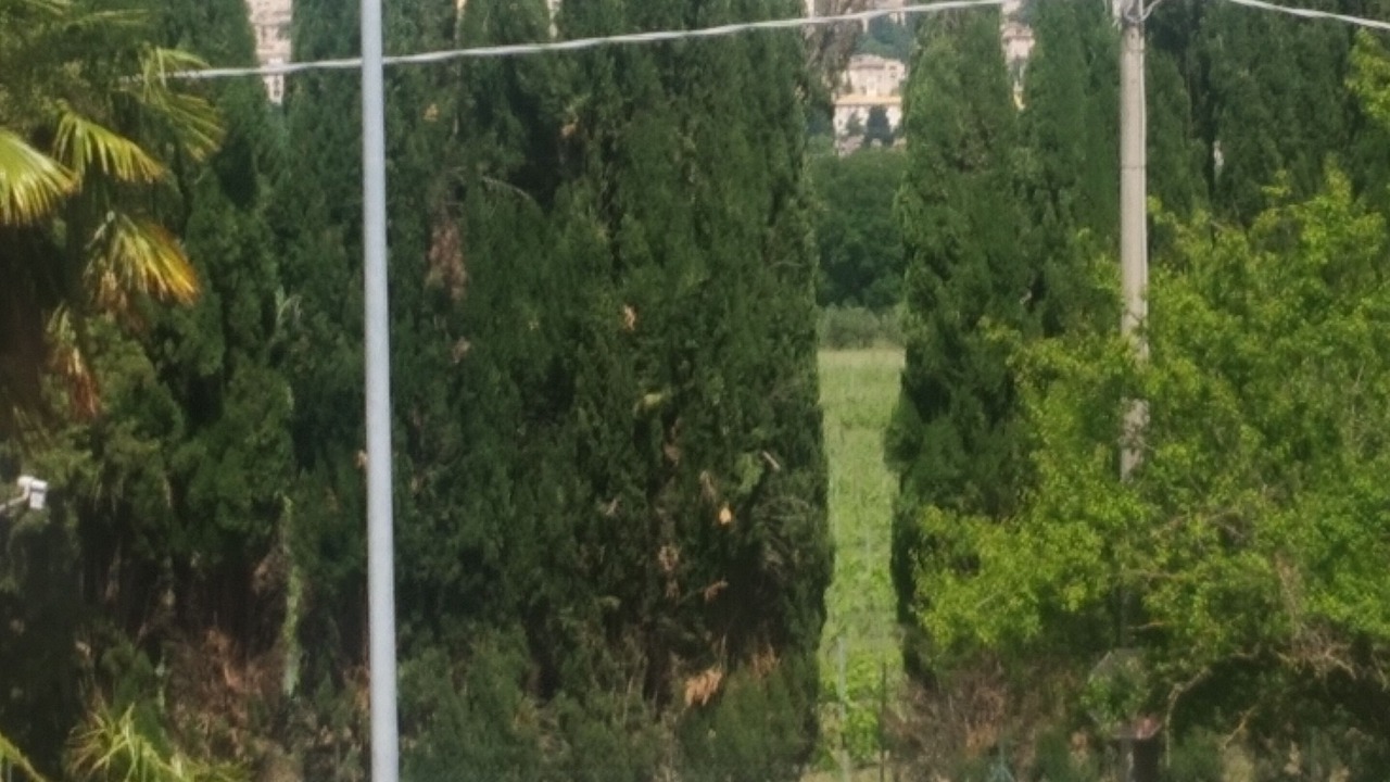 Photo of Outdoor in Santa Maria degli Angeli