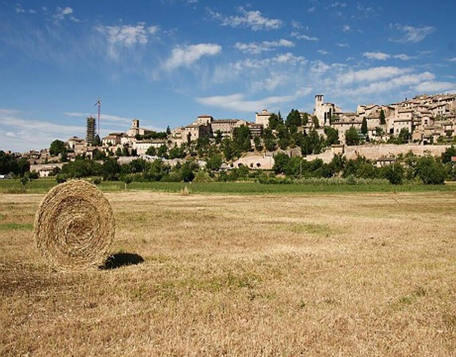 Photo of Others in Spello