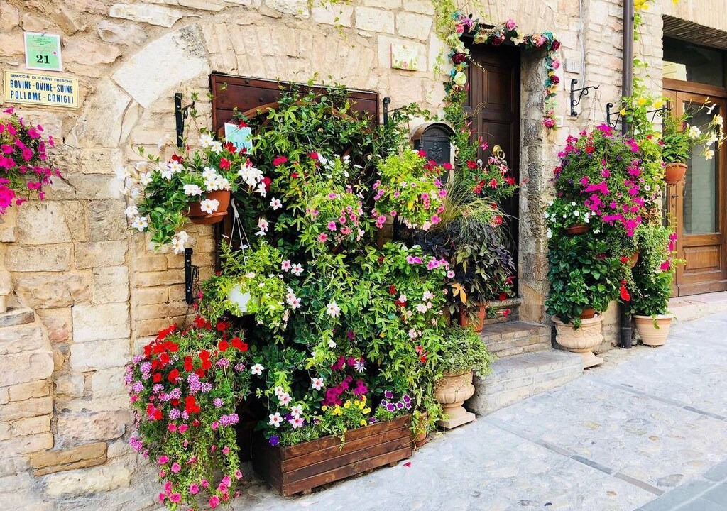 Photo of Buildings in Spello