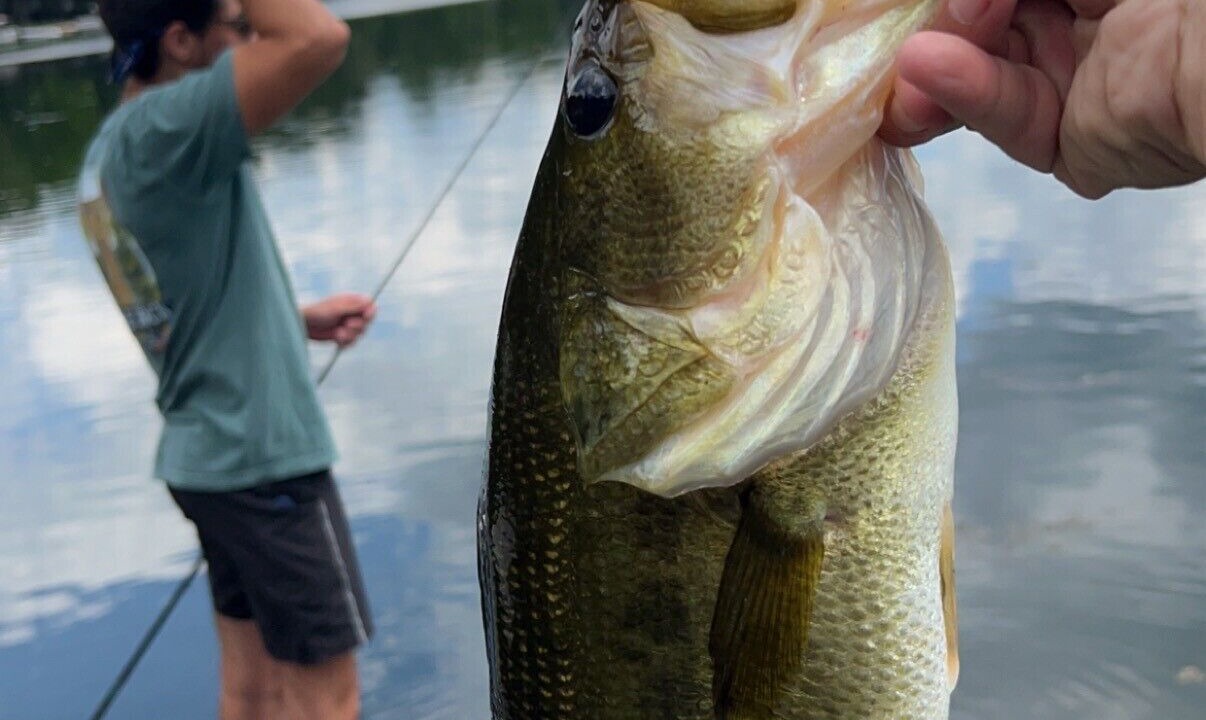 Photo of Others in Decatur