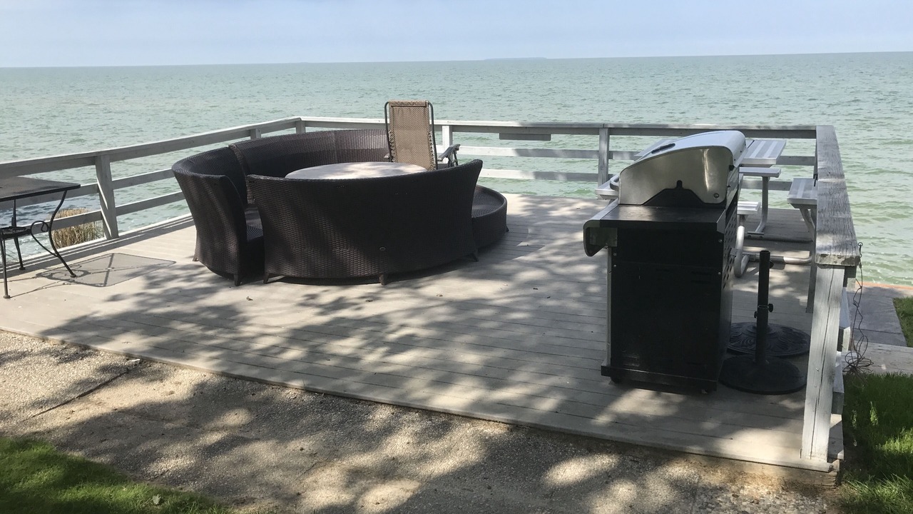 Photo of Outdoor in Pigeon