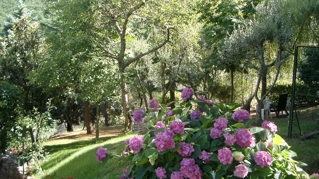 Photo of Outdoor in Poggio Alla Croce