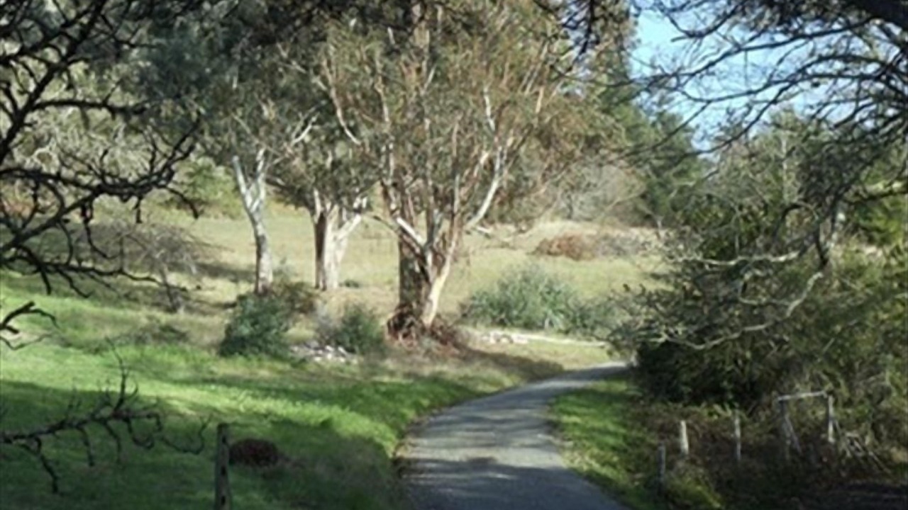 Photo of Others in Freestone