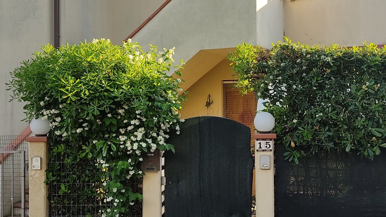 Photo of Outdoor in Marcelli