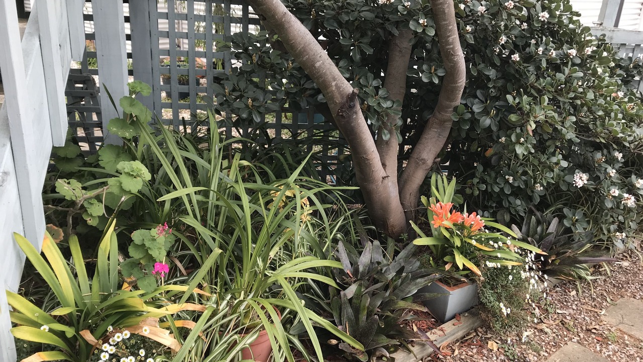 Photo of Outdoor in Eagle Point