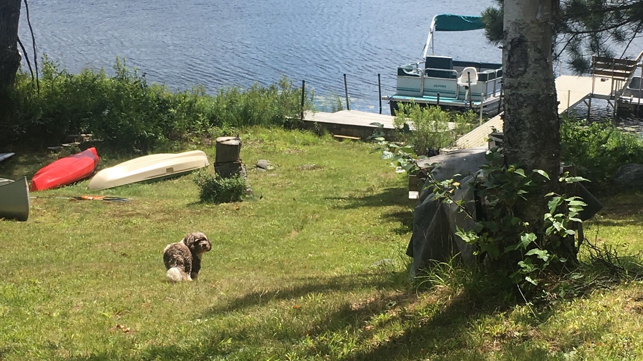 Photo of Outdoor in Michigamme