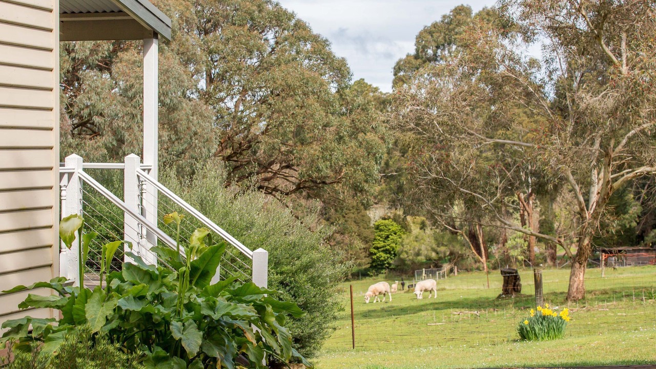 Photo of Outdoor in Red Hill South