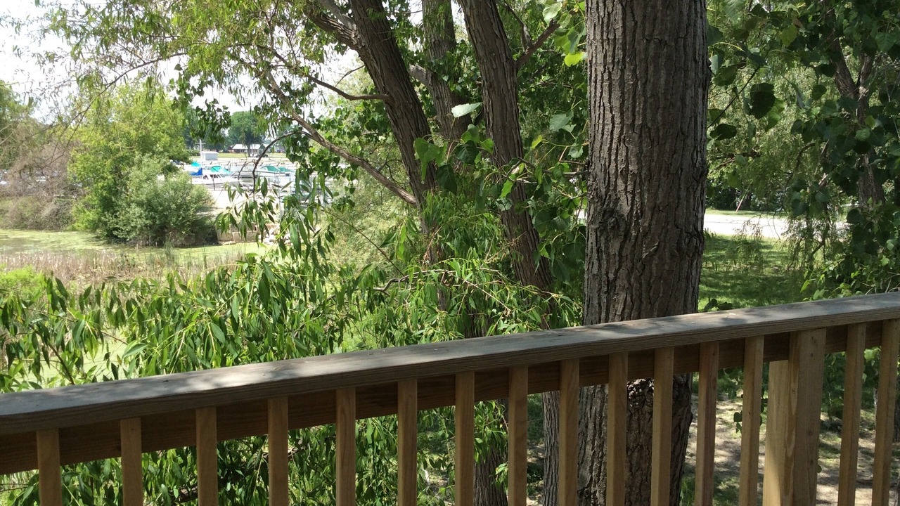 Photo of Outdoor in Oak Harbor