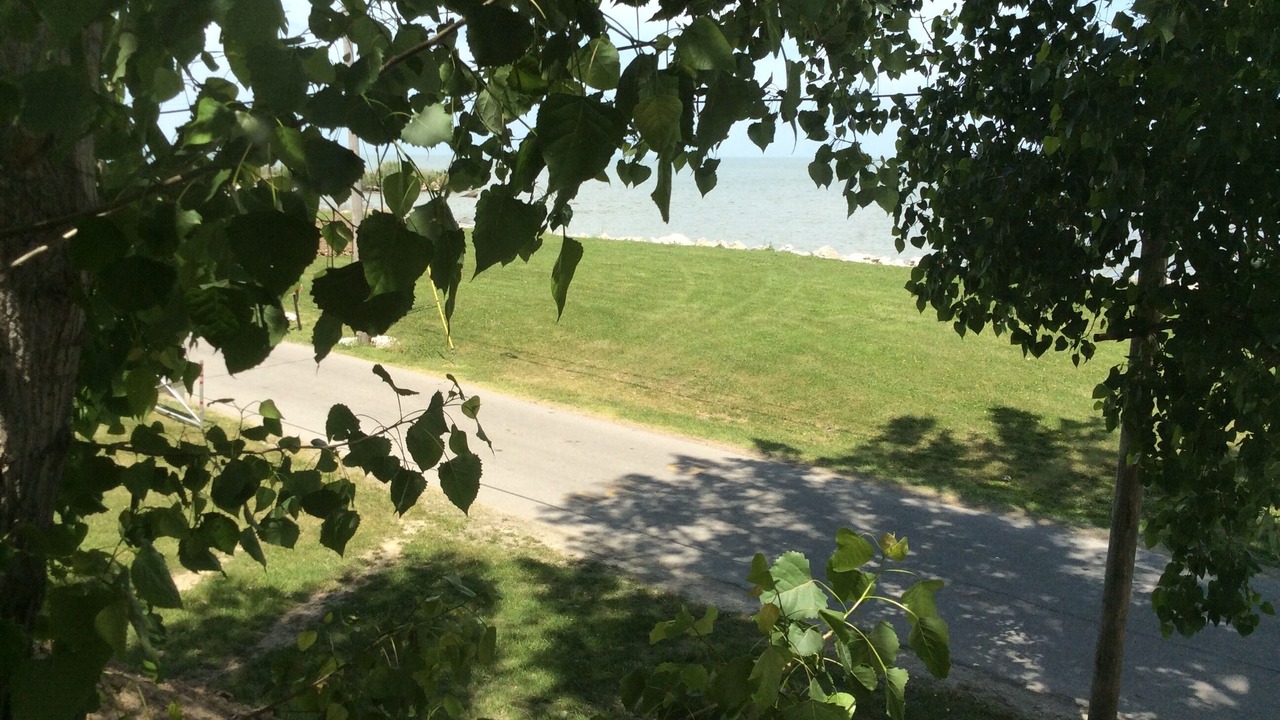 Photo of Outdoor in Oak Harbor